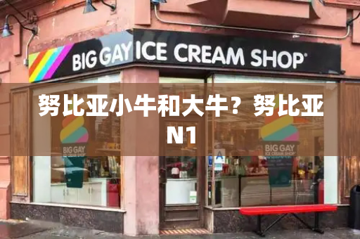努比亚小牛和大牛？努比亚N1