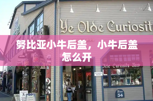 努比亚小牛后盖，小牛后盖怎么开