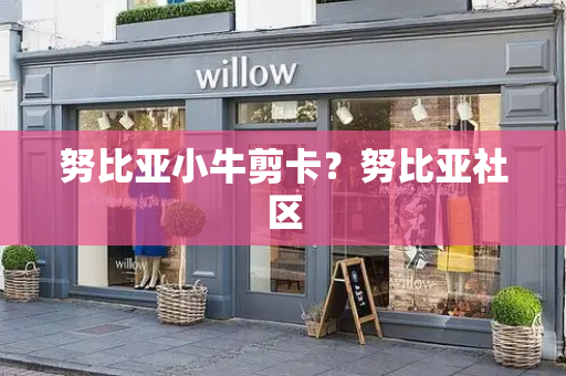 努比亚小牛剪卡？努比亚社区