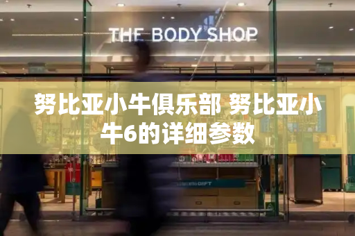 努比亚小牛俱乐部 努比亚小牛6的详细参数