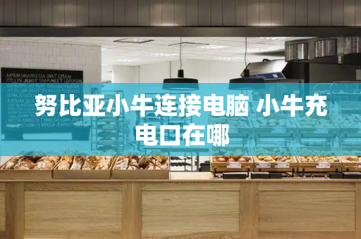 努比亚小牛连接电脑 小牛充电口在哪