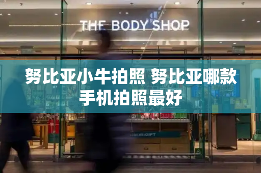 努比亚小牛拍照 努比亚哪款手机拍照最好