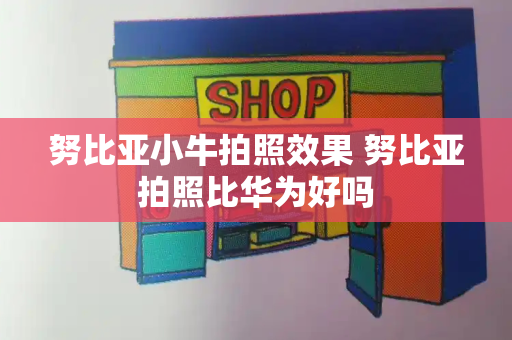 努比亚小牛拍照效果 努比亚拍照比华为好吗-第1张图片-星选测评