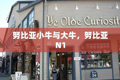 努比亚小牛与大牛，努比亚N1