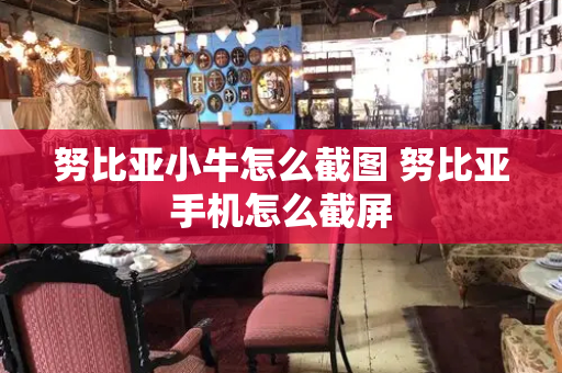 努比亚小牛怎么截图 努比亚手机怎么截屏