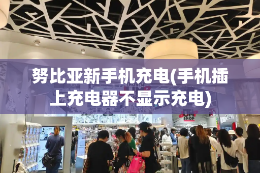 努比亚新手机充电(手机插上充电器不显示充电)