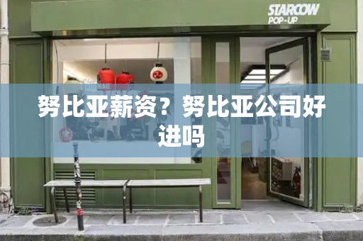 努比亚薪资？努比亚公司好进吗-第1张图片-星选测评