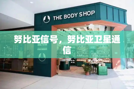 努比亚信号，努比亚卫星通信