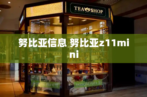 努比亚信息 努比亚z11mini