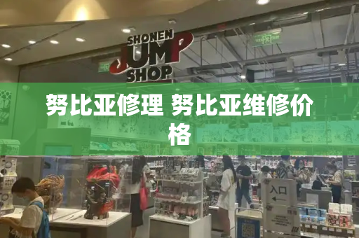 努比亚修理 努比亚维修价格