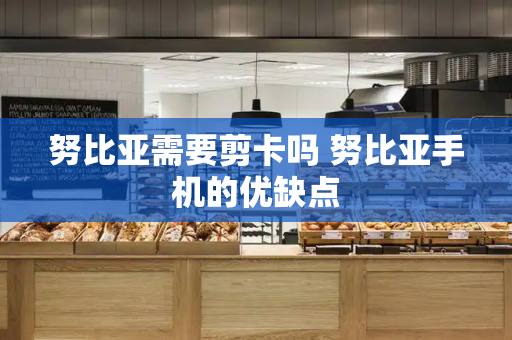 努比亚需要剪卡吗 努比亚手机的优缺点-第1张图片-星选测评