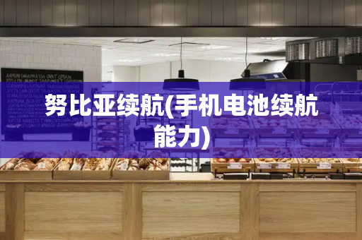 努比亚续航(手机电池续航能力)
