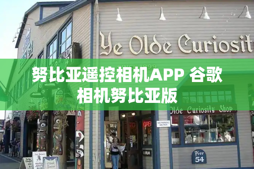 努比亚遥控相机APP 谷歌相机努比亚版-第1张图片-星选测评