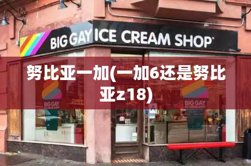 努比亚一加(一加6还是努比亚z18)