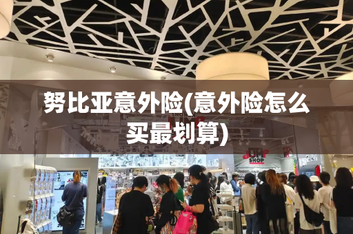 努比亚意外险(意外险怎么买最划算)