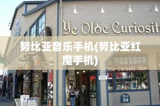 努比亚音乐手机(努比亚红魔手机)