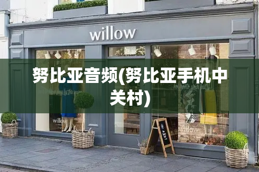 努比亚音频(努比亚手机中关村)