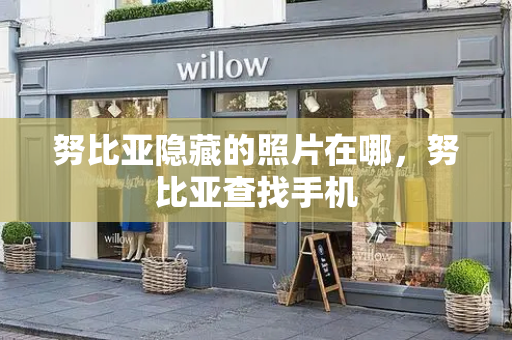 努比亚隐藏的照片在哪，努比亚查找手机