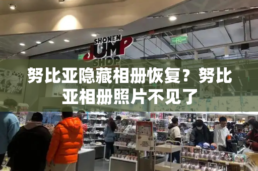 努比亚隐藏相册恢复？努比亚相册照片不见了