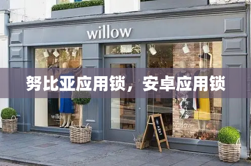 努比亚应用锁，安卓应用锁-第1张图片-星选测评