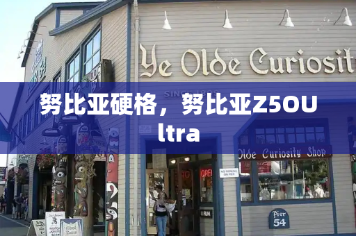 努比亚硬格，努比亚Z5OUltra-第1张图片-星选测评