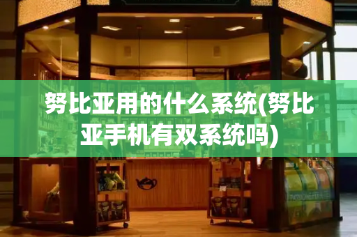 努比亚用的什么系统(努比亚手机有双系统吗)