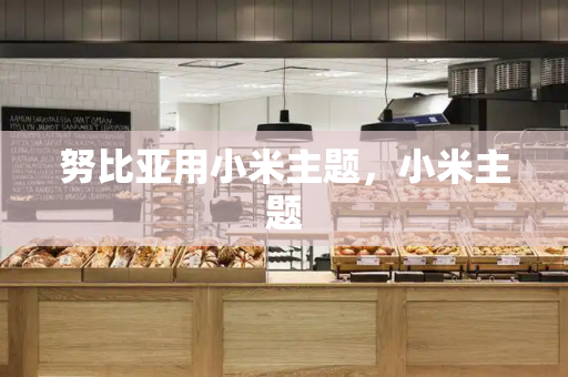 努比亚用小米主题，小米主题
