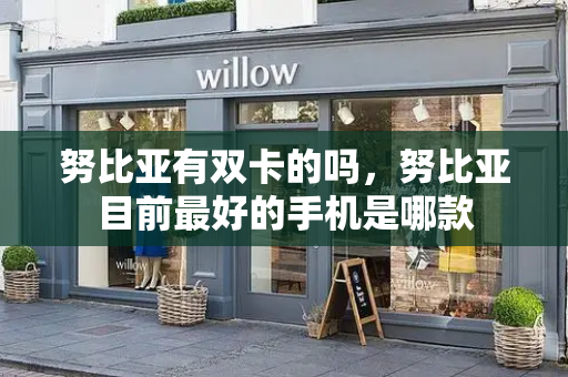 努比亚有双卡的吗，努比亚目前最好的手机是哪款-第1张图片-星选测评