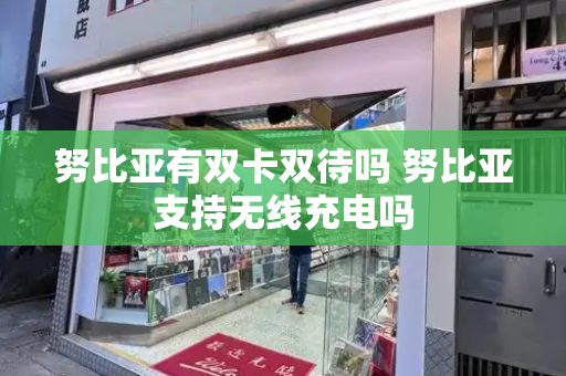 努比亚有双卡双待吗 努比亚支持无线充电吗-第1张图片-星选测评