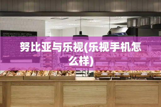 努比亚与乐视(乐视手机怎么样)