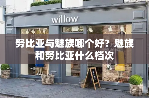 努比亚与魅族哪个好？魅族和努比亚什么档次-第1张图片-星选测评