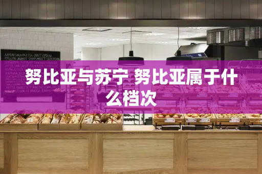 努比亚与苏宁 努比亚属于什么档次-第1张图片-星选测评