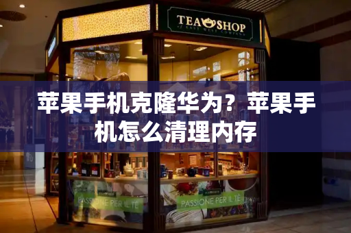 苹果手机克隆华为？苹果手机怎么清理内存-第1张图片-星选测评