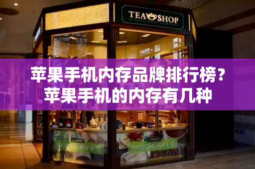苹果手机内存品牌排行榜？苹果手机的内存有几种-第1张图片-星选测评