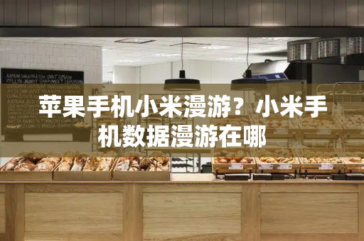 苹果手机小米漫游？小米手机数据漫游在哪