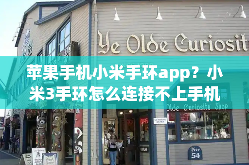 苹果手机小米手环app？小米3手环怎么连接不上手机-第1张图片-星选测评