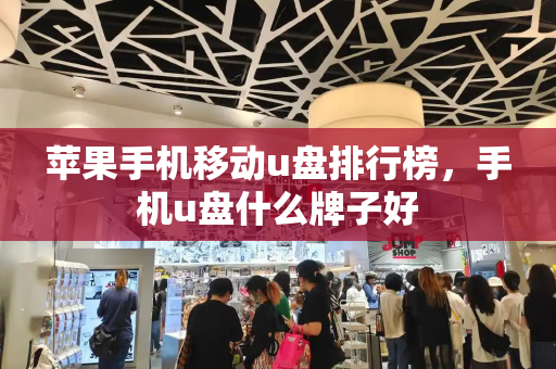 苹果手机移动u盘排行榜，手机u盘什么牌子好