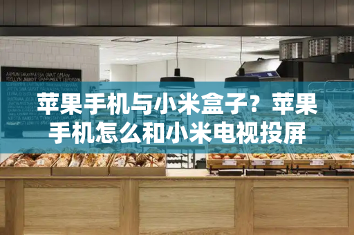 苹果手机与小米盒子？苹果手机怎么和小米电视投屏-第1张图片-星选测评