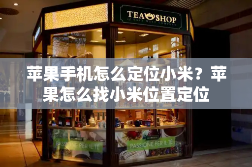 苹果手机怎么定位小米？苹果怎么找小米位置定位-第1张图片-星选测评