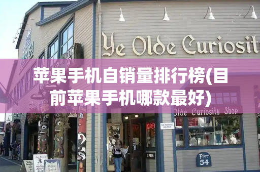 苹果手机自销量排行榜(目前苹果手机哪款最好)