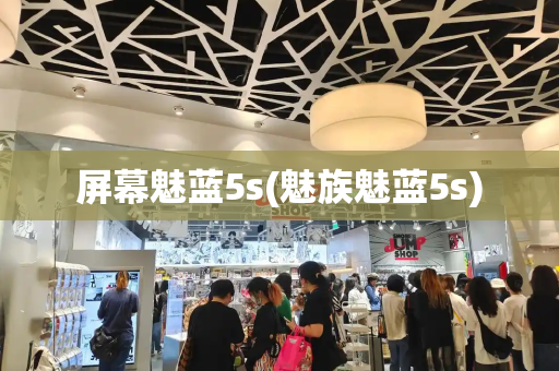 屏幕魅蓝5s(魅族魅蓝5s)-第1张图片-星选测评