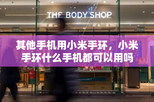 其他手机用小米手环，小米手环什么手机都可以用吗-第1张图片-星选测评