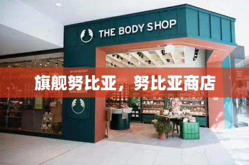 旗舰努比亚，努比亚商店