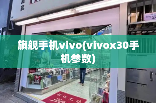 旗舰手机vivo(vivox30手机参数)