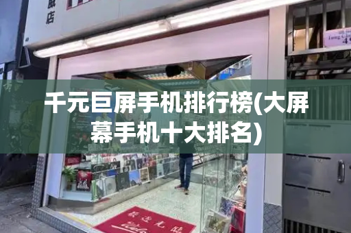 千元巨屏手机排行榜(大屏幕手机十大排名)