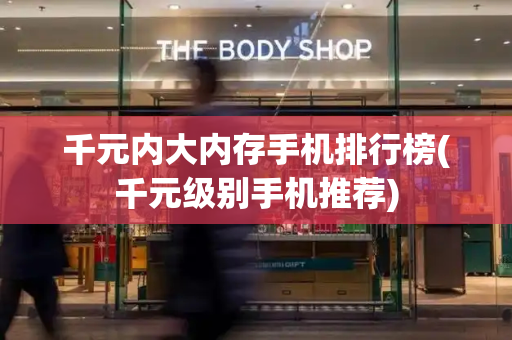 千元内大内存手机排行榜(千元级别手机推荐)-第1张图片-星选测评