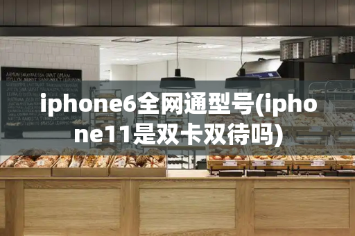 iphone6全网通型号(iphone11是双卡双待吗)-第1张图片-星选测评