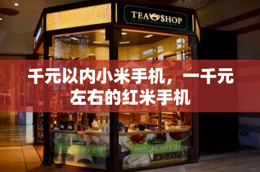 千元以内小米手机，一千元左右的红米手机-第1张图片-星选测评