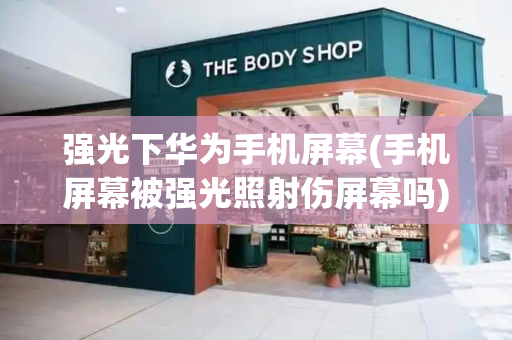 强光下华为手机屏幕(手机屏幕被强光照射伤屏幕吗)-第1张图片-星选测评