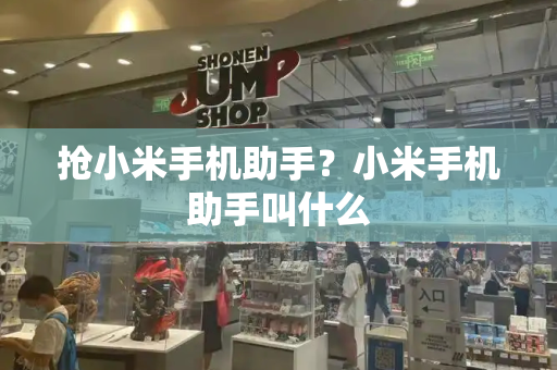 抢小米手机助手？小米手机助手叫什么-第1张图片-星选测评